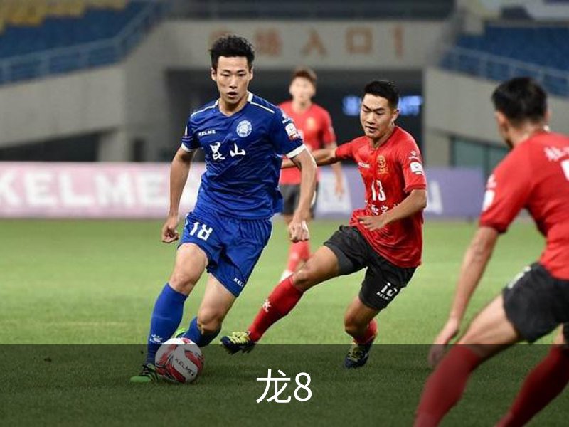 龙8介绍