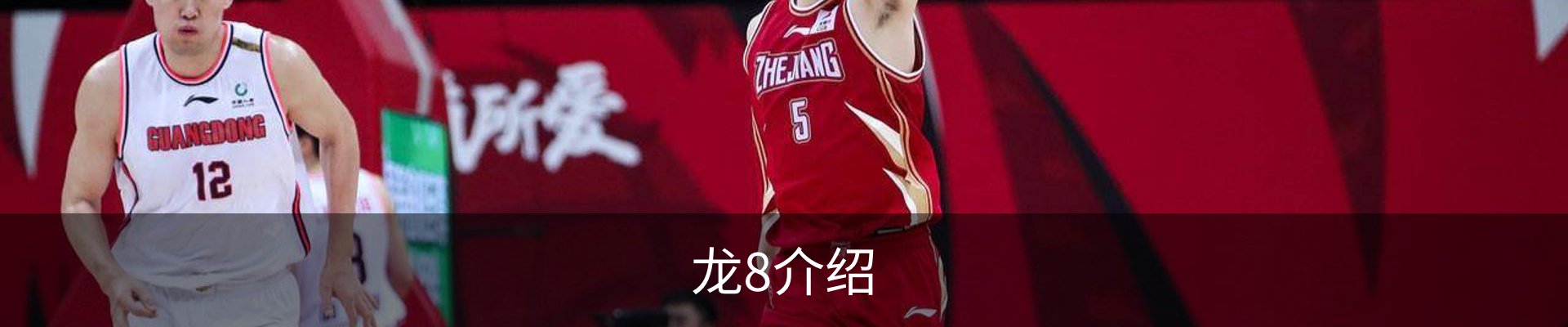 龙8介绍